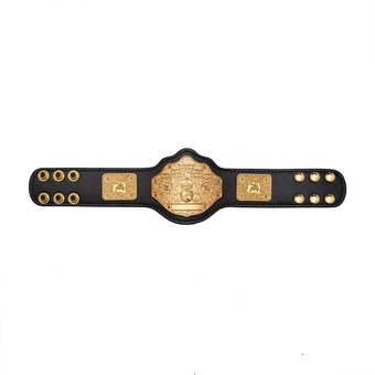 WCW Heavyweight Championship Mini Replica Title Belt